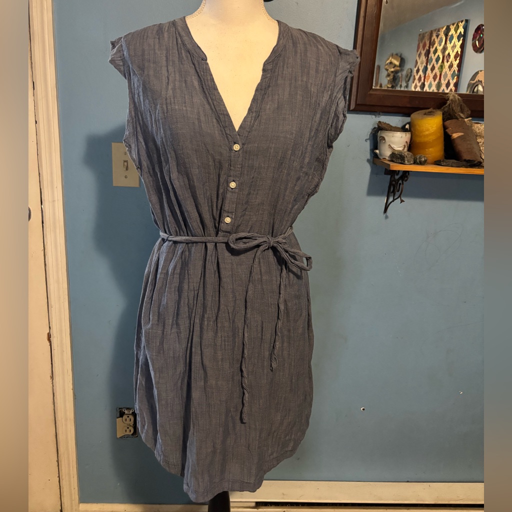 Old Navy, Lined, Chambray Dress